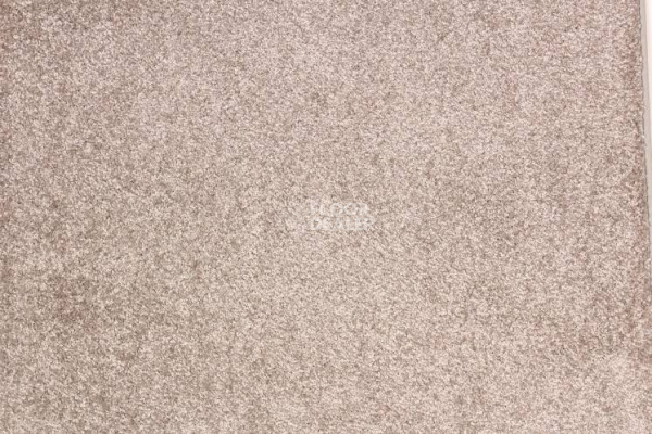 Ковролин Betap Tardi 76 фото 1 | FLOORDEALER