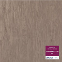 Линолеум Tarkett Standart Plus 482  | FLOORDEALER