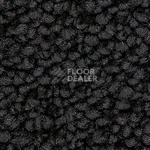 Ковролин Balsan Metis Metis 995 фото 1 | FLOORDEALER