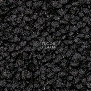 Ковролин Balsan Metis Metis 995 фото 1 | FLOORDEALER
