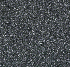 Ковровая плитка Westbond Flex Nf 152158 фото 1 | FLOORDEALER