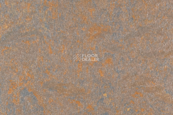 Forbo Marmoleum Solid Slate e3746-e374635 Newfoundland slate фото 1 | FLOORDEALER