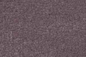 Ковролин Shaw Bradberry 30 881 фото  | FLOORDEALER