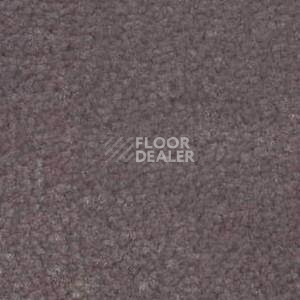 Ковролин Shaw Bradberry 30 881 фото 1 | FLOORDEALER