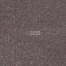 Ковролин Shaw Bradberry 30 881 фото 1 | FLOORDEALER