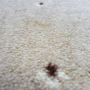 Ковролин Balta ITC Palace New Palace  | FLOORDEALER