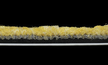 IVC Liberate 140 фото 4 | FLOORDEALER