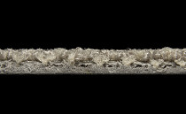 Galaxy F 014 фото 5 | FLOORDEALER