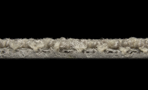 Galaxy F 014 фото 5 | FLOORDEALER