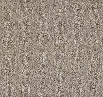 Ковролин Big Sense Hightlights 312 фото 1 | FLOORDEALER