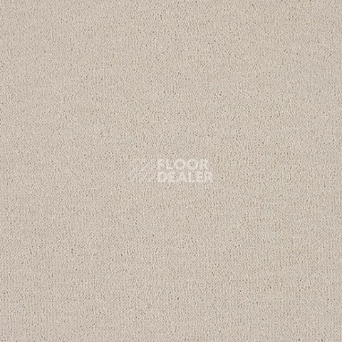 Ковролин Lano Pleasure Ple 0880 фото 1 | FLOORDEALER