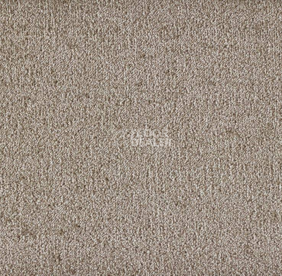 Ковролин Big Sense Hightlights 312 фото 1 | FLOORDEALER