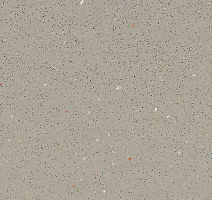 Линолеум Forbo SafeStep R11 174232 fossil фото 1 | FLOORDEALER