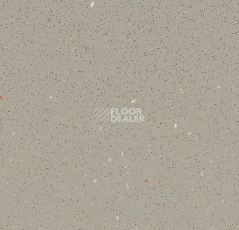 Линолеум Forbo SafeStep R11 174232 fossil фото 1 | FLOORDEALER