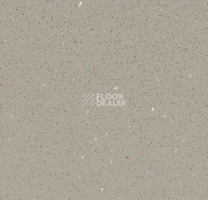 Линолеум Forbo SafeStep R11 174232 fossil фото 1 | FLOORDEALER