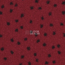 Ковролин Balsan Constellation 560 фото 1 | FLOORDEALER
