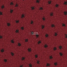 Balsan Constellation 560 фото 1 | FLOORDEALER