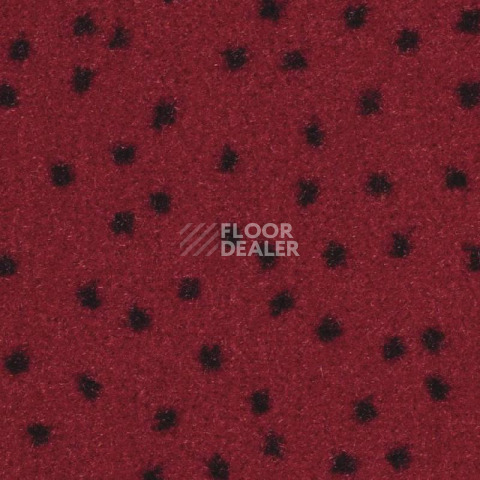 Ковролин Balsan Constellation 560 фото 1 | FLOORDEALER