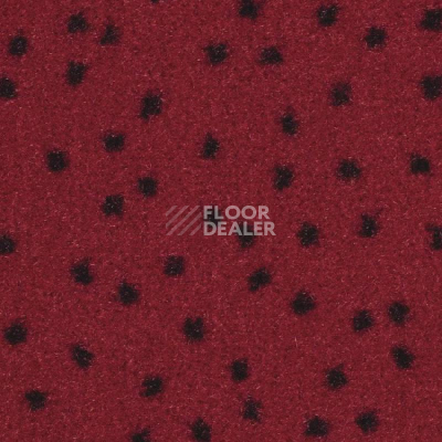 Ковролин Balsan Constellation 560 фото 1 | FLOORDEALER
