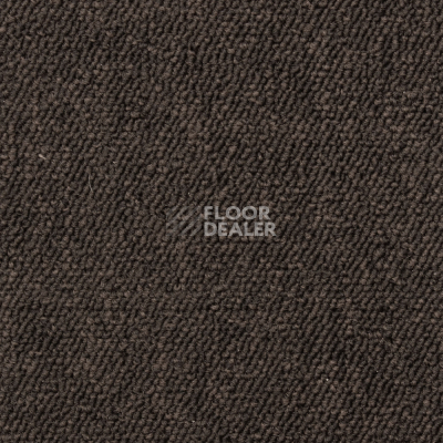 Ковровая плитка Betap Baltic NEW 880 фото 1 | FLOORDEALER