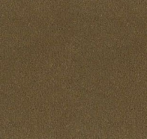 Ковролин Desso Asteranne 2934 фото 1 | FLOORDEALER