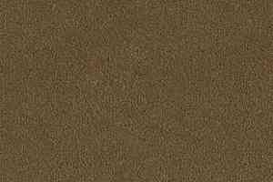 Ковролин Desso Asteranne 2934 фото  | FLOORDEALER
