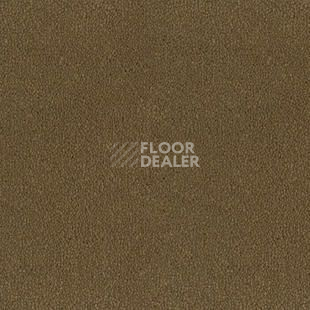 Ковролин Desso Asteranne 2934 фото 1 | FLOORDEALER