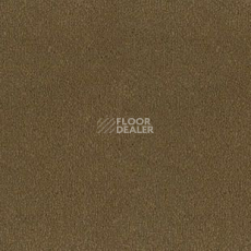 Ковролин Desso Asteranne 2934 фото 1 | FLOORDEALER