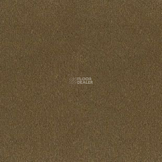 Desso Asteranne 2934 фото 1 | FLOORDEALER