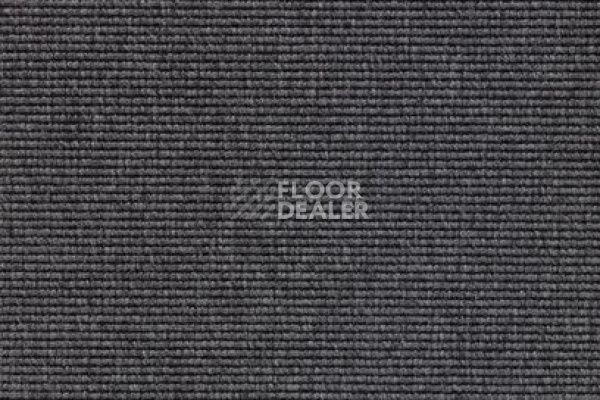 Ковролин Carpet Concept Eco 1 6694 фото 1 | FLOORDEALER