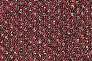 Ковролин AW Negresco 12 фото  | FLOORDEALER