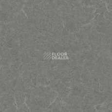 Линолеум Grabo Silver Knight Acoustic 7 455_857-1172 фото 1 | FLOORDEALER