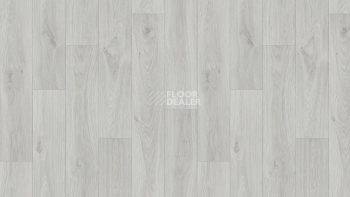 Линолеум Tarkett Gladiator Muskat 9 фото 1 | FLOORDEALER