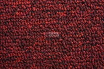 AW Medusa 11 фото 4 | FLOORDEALER