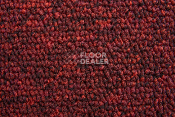 AW Medusa / Медуза 11 фото 4 | FLOORDEALER