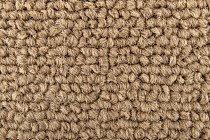 Standard Carpets Spectrum sm 595 фото 3 | FLOORDEALER