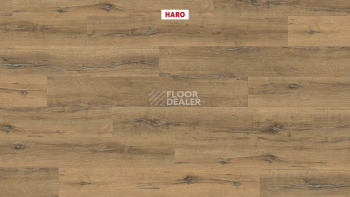 Haro Tritty 200 Aqua 4V Дуб Металлик Натур 544775 фото 2 | FLOORDEALER