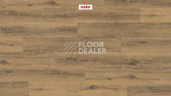Haro Tritty 200 Aqua 4V Дуб Металлик Натур 544775 фото 2 | FLOORDEALER