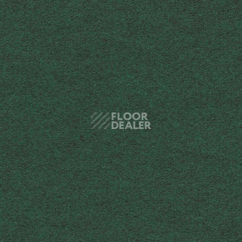 Ковролин Finett Feinwerk 603509 фото 1 | FLOORDEALER