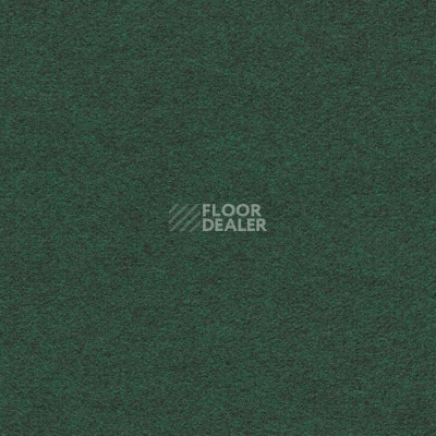 Ковролин Finett Feinwerk 603509 фото 1 | FLOORDEALER