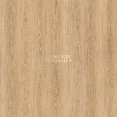 Пробковое покрытие Wood Resist Eco FDYD001   Royal Oak фото 1 | FLOORDEALER