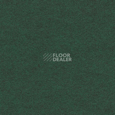 Ковролин Finett Feinwerk 603509 фото 1 | FLOORDEALER
