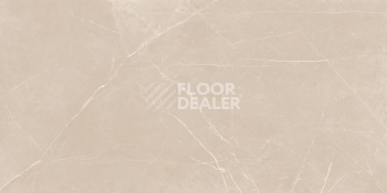 Nolana ( Нолана ) 60 x 120 x 10 NL01 фото 6 | FLOORDEALER
