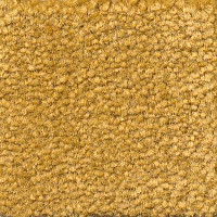 Emphatic Beaulieu of America 56240 фото 1 | FLOORDEALER