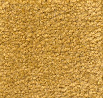 Ковролин Emphatic Beaulieu of America 56240 фото 1 | FLOORDEALER