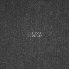 Ковролин AW Midas 97 фото 1 | FLOORDEALER