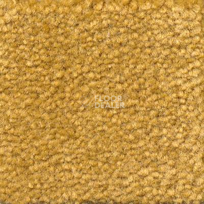 Ковролин Emphatic Beaulieu of America 56240 фото 1 | FLOORDEALER