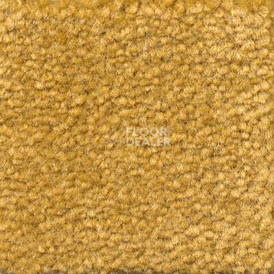 Ковролин Emphatic Beaulieu of America 56240 фото 1 | FLOORDEALER