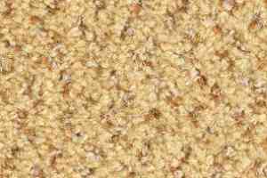 Ковролин Balsan Tango Tango 340 фото  | FLOORDEALER