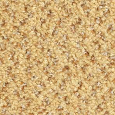 Ковролин Balsan Tango Tango 340 фото 1 | FLOORDEALER